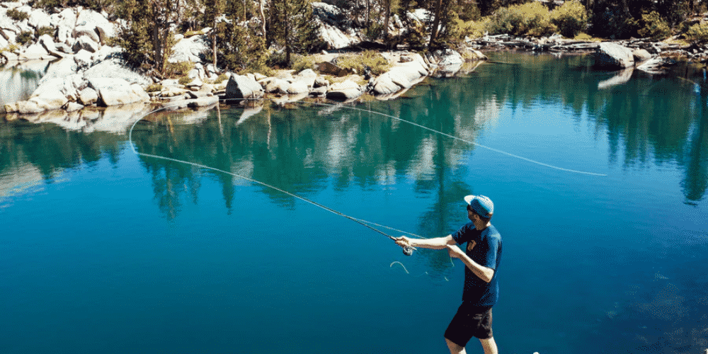 How Are Wet Flies and Dry Flies Different?