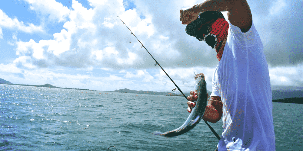 Fly fishing (U.S. National Park Service)